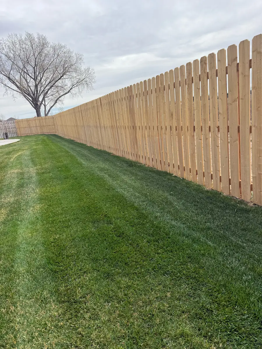 Dog-ear picket fence along a striped lawn