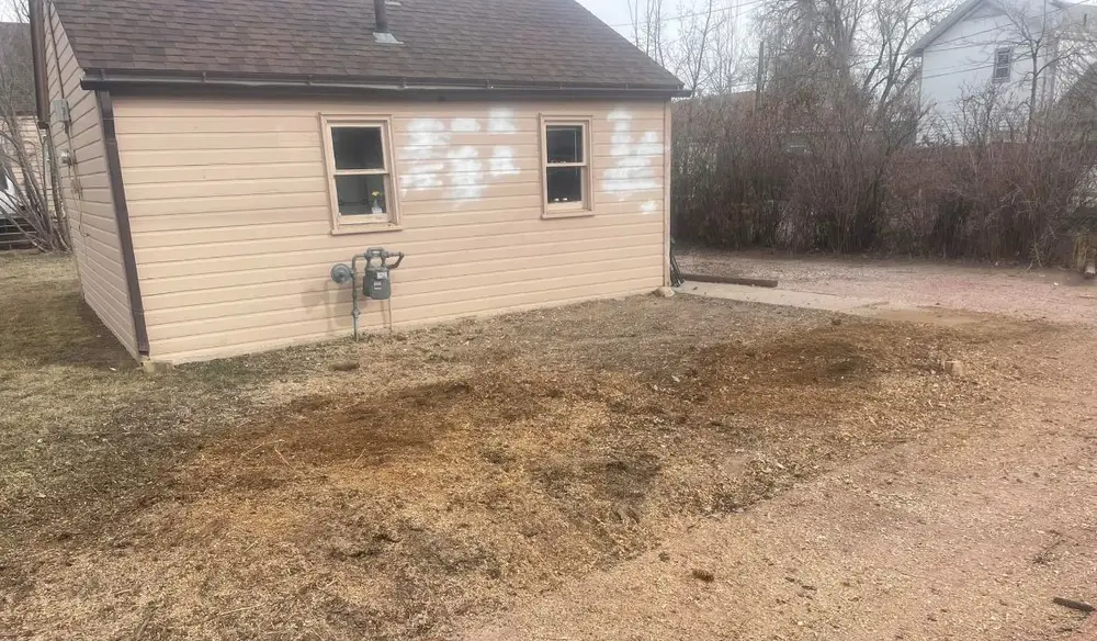 The same yard after the stump was removed