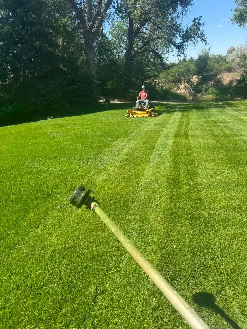 Levi mowing on a Walker mower, seen past a string trimmer